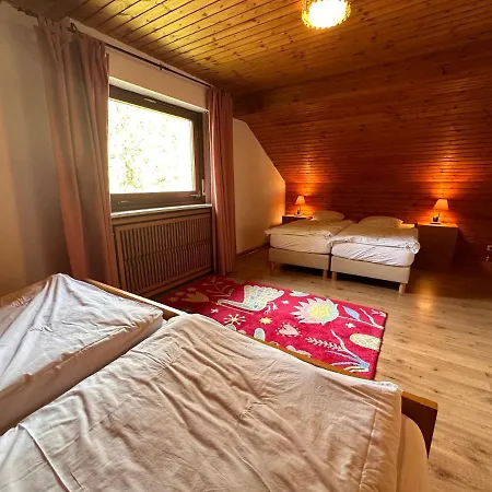 Private Spacious Villa Near Winterberg And Willingen 14 Guests Huge Garden Free Parking For Multiple Cars Olsberg Exterior foto
